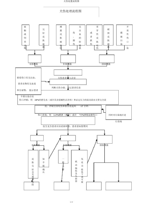 犬伤处置流程图