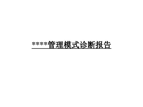 管理模式诊断报告(PPT211页)