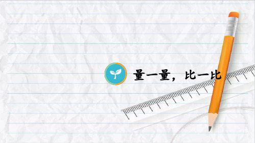 2023年人教版二年级数学上册综合与实践 量一量,比一比
