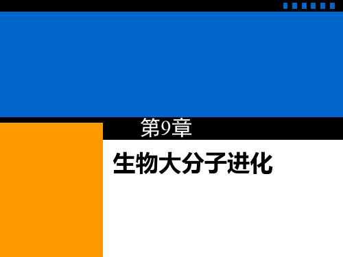 第9章生物大分子进化