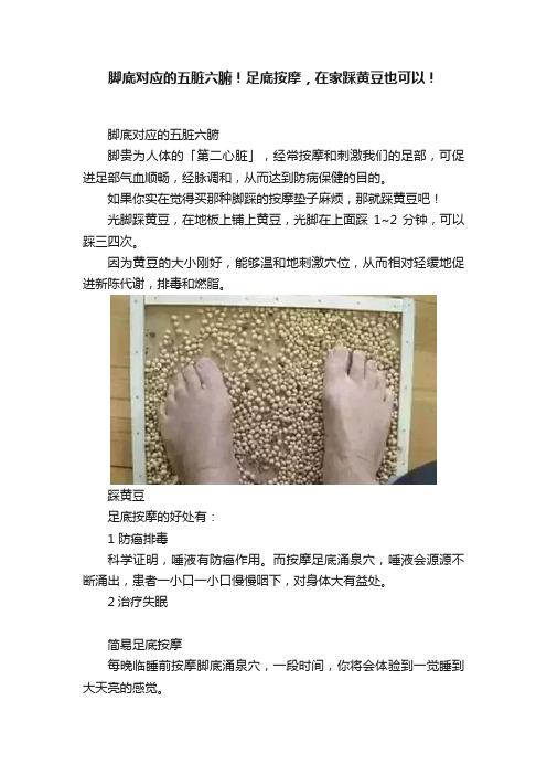 脚底对应的五脏六腑！足底按摩，在家踩黄豆也可以！