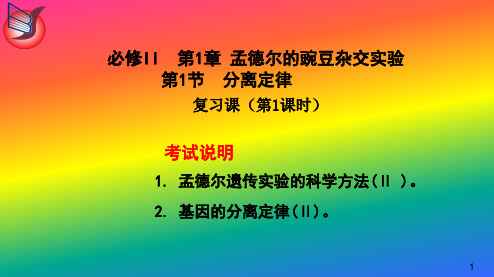 浙科版高中生物必修二第一章 孟德尔的豌豆杂交实验 第一节 分离定律复习课 课件(共32张PPT)