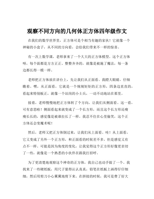 观察不同方向的几何体正方体四年级作文