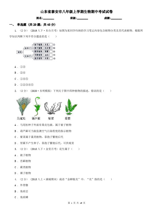 山东省泰安市八年级上学期生物期中考试试卷