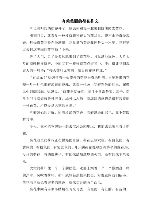 有关美丽的荷花作文精选