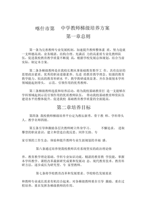 中学教师梯级培养方案