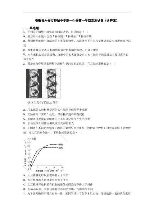 安徽省六安市舒城中学高一生物第一学期期末试卷(含答案)