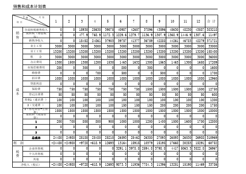 销售和成本计划表