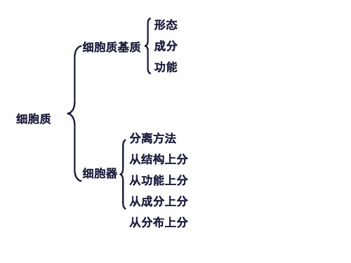 细胞器与生物膜系统ppt课件