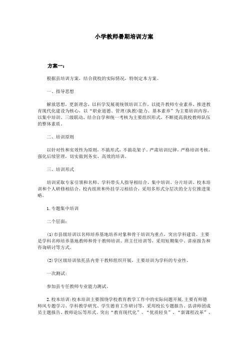 小学教师暑期培训方案