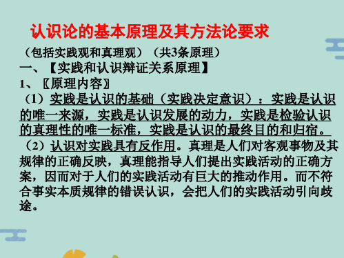 认识论原理及其方法论要求(“实践”文档)共5张