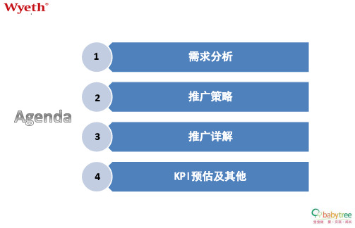 惠氏婴儿护理产品推广策划方案ppt