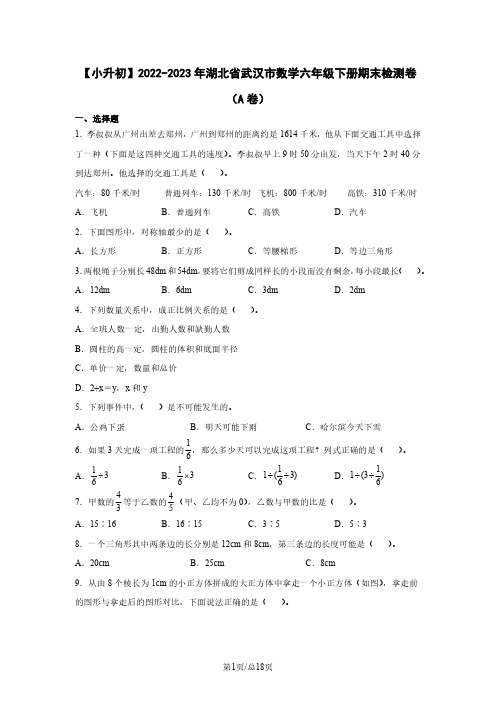 【小升初】2022-2023学年湖北省武汉市数学六年级下册期末检测卷(A卷)含解析