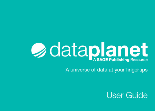 Data Planet用户指南说明书