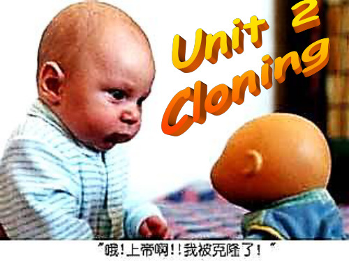 人教版高中英语选修8：选修8-unit2-cloning-公开课