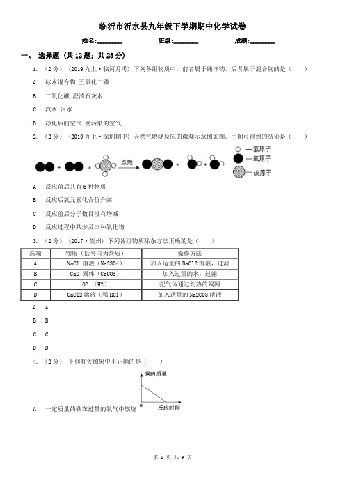 临沂市沂水县九年级下学期期中化学试卷