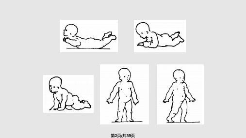 步行周期中的运动学分析尚江PPT课件