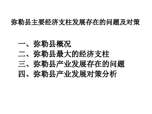 弥勒县经济发展状况