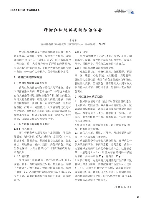 猪附红细胞体病的防治体会