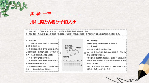 高考物理一轮复习第十二章热学实验十三用油膜法估测分子的大形件选修3_3