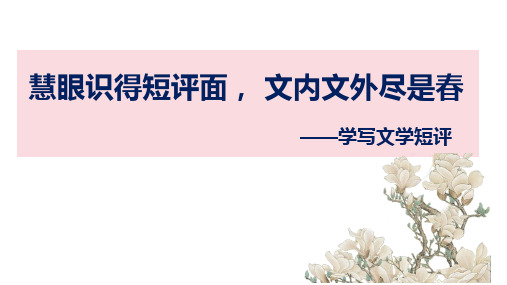 2023-2024学年统编版高一语文必修上册《学写文学短评》教学PPT课件