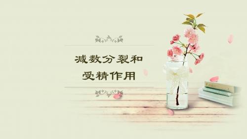 减数分裂和受精作用