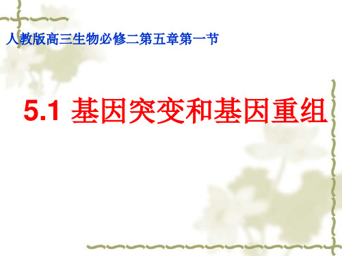 人教版高三生物必修二第五章第一节基因突变和基因重组课件共31张