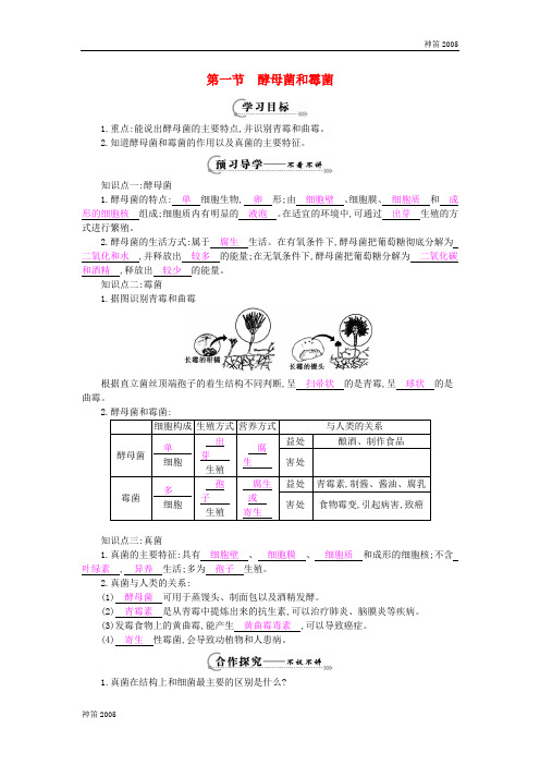 2019年八年级生物上册 第五单元 第二章 第一节《酵母菌和霉菌》导学案 冀教版