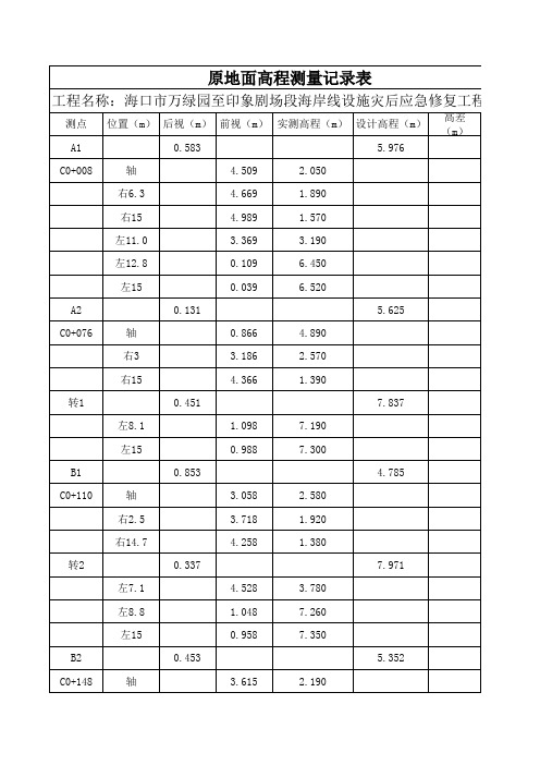 (C段)提防断面原地面高程测量记录表