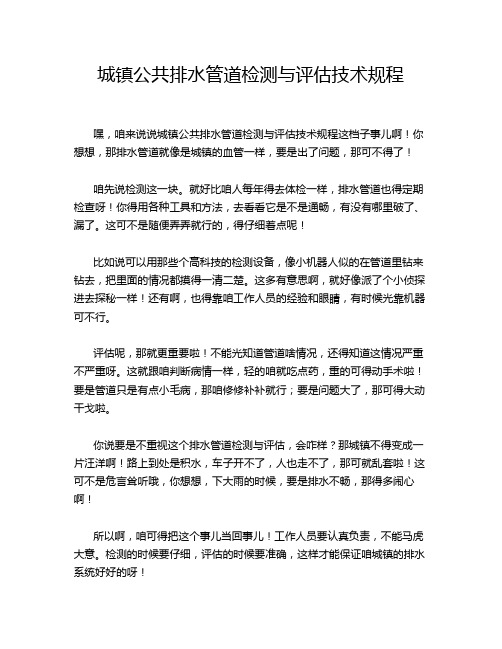 城镇公共排水管道检测与评估技术规程