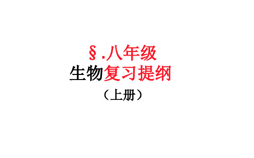 最新人教版八年级生物上册复习课件