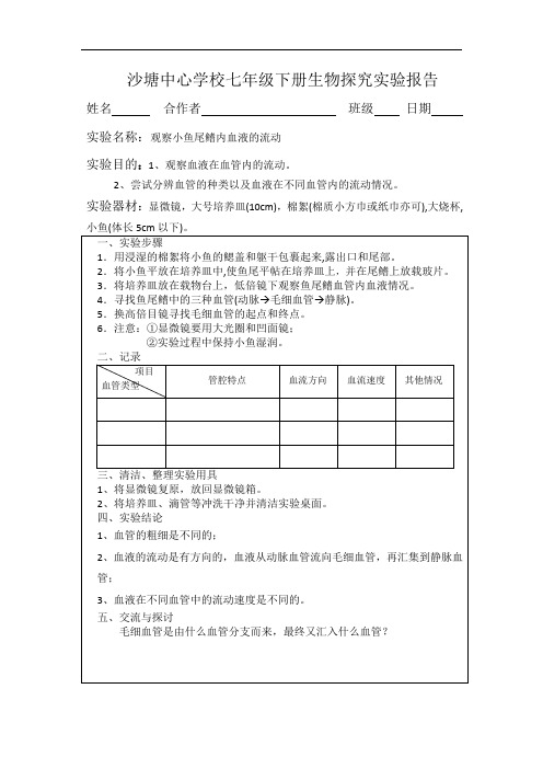 观察小鱼尾鳍内血液的流动探究报告