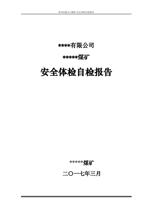 煤矿安全体检自检报告