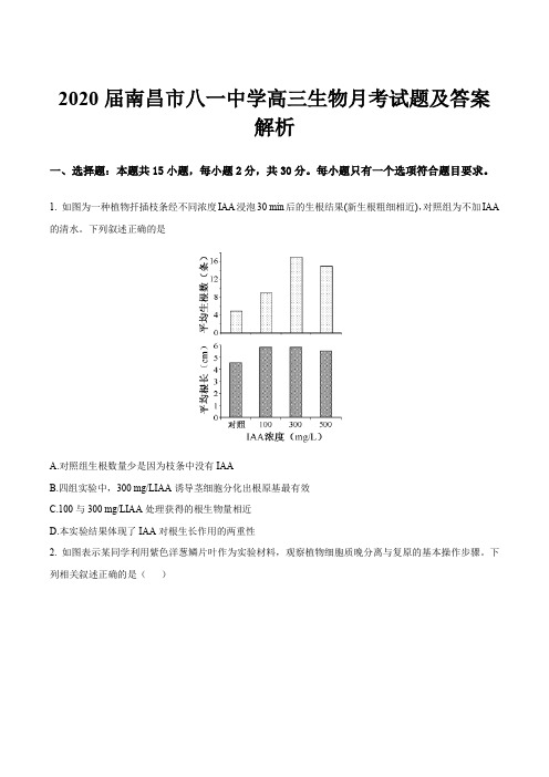 2020届南昌市八一中学高三生物月考试题及答案解析