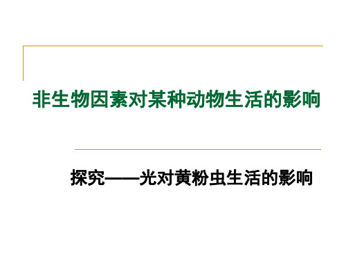 第二课时 探究光对黄粉虫生活的影响