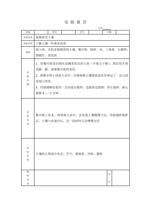 三年级实验报告表下