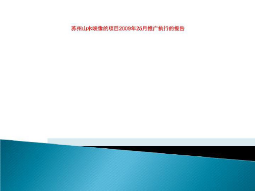 苏州山水映像的项目2009年25月推广执行的报告