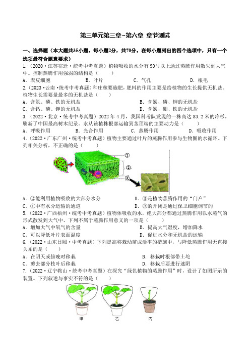 第3~6章 绿色植物的三大生理作用-七年级生物上册(原卷版)