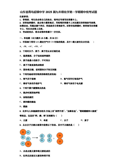 山东省青岛超银中学2025届九年级化学第一学期期中统考试题含解析