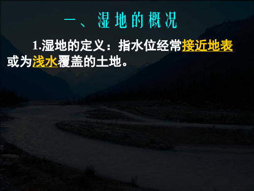 《湿地资源的开发与保护 流域综合治理与开发》