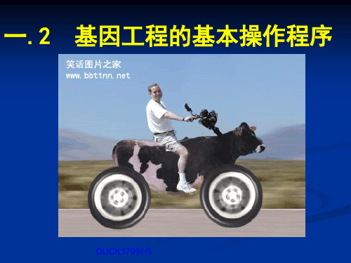 1.2基因工程基本操作顺序