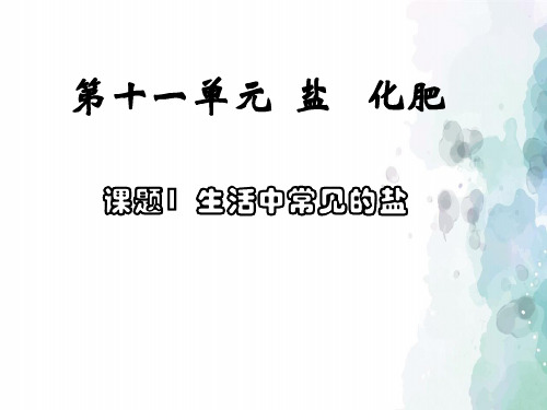 人教版-化学-九年级下册-课题1 生活中常见的盐