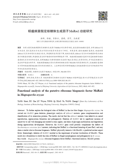 稻瘟病菌假定核糖体生成因子MoRei1功能研究