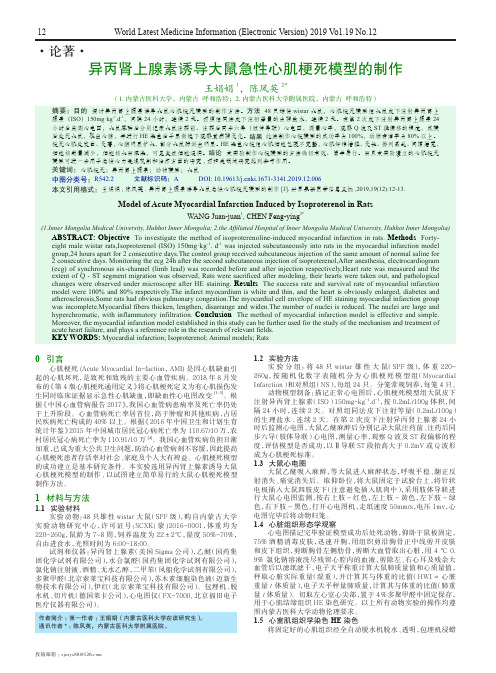 异丙肾上腺素诱导大鼠急性心肌梗死模型的制作