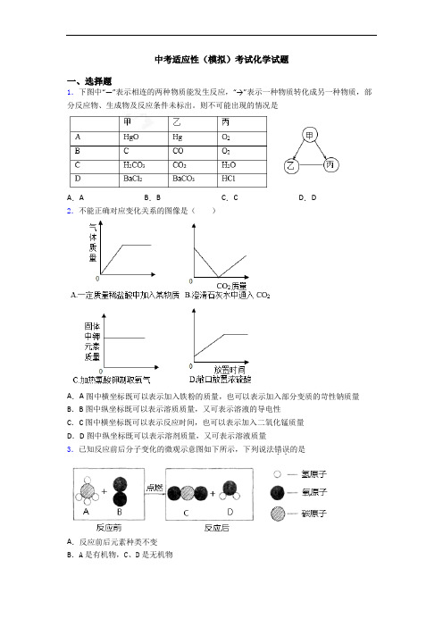 中考适应性(模拟)考试化学试题