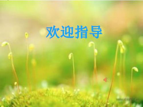 庄子与惠子游于濠梁之上 (2)