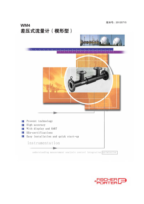 差压式流量计(楔形型)-选型说明书