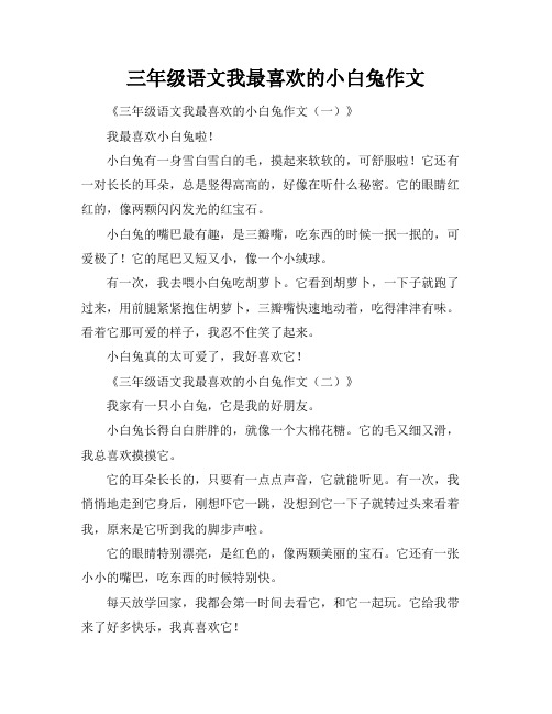 三年级语文我最喜欢的小白兔作文