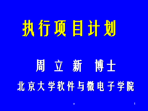 执行项目计划PPT课件