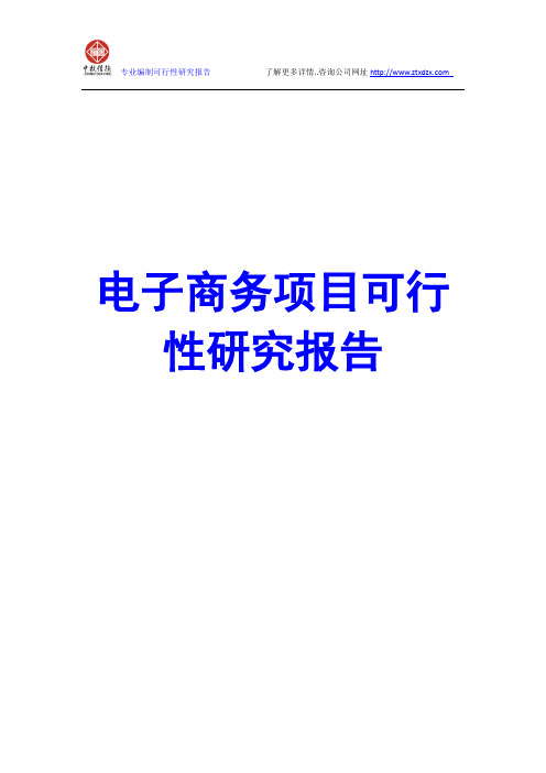 电子商务项目可行性研究报告